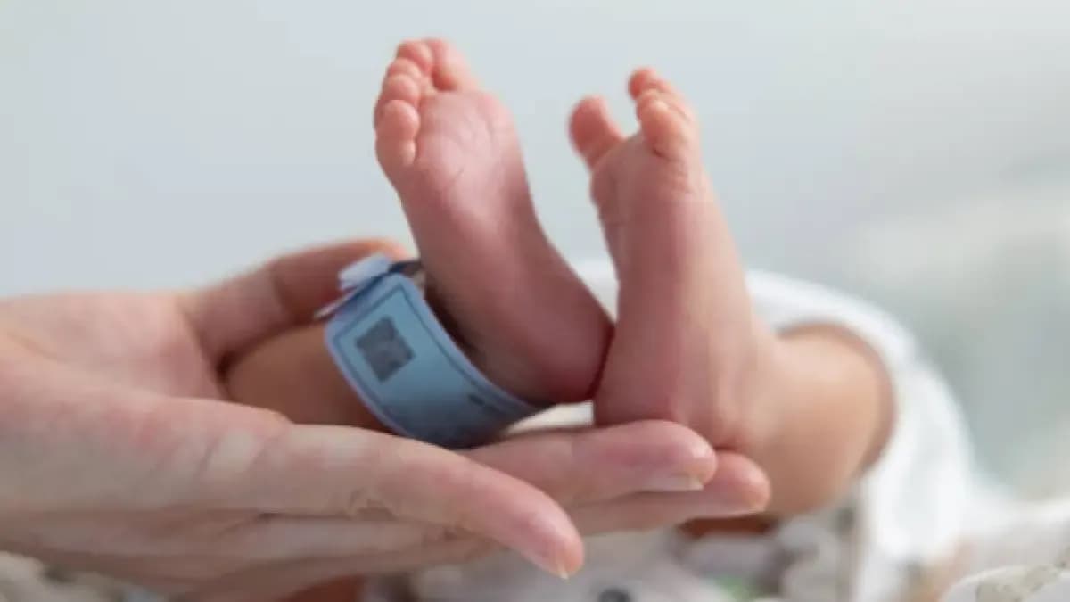 Nacimientos caen 4,5% en 2025, pero Colombia respira: el ritmo de declive se desacelera