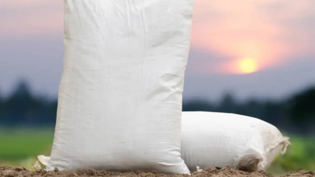 La guerra en el Golfo Pérsico encarece el fertilizante y aprieta los bolsillos de los arroceros