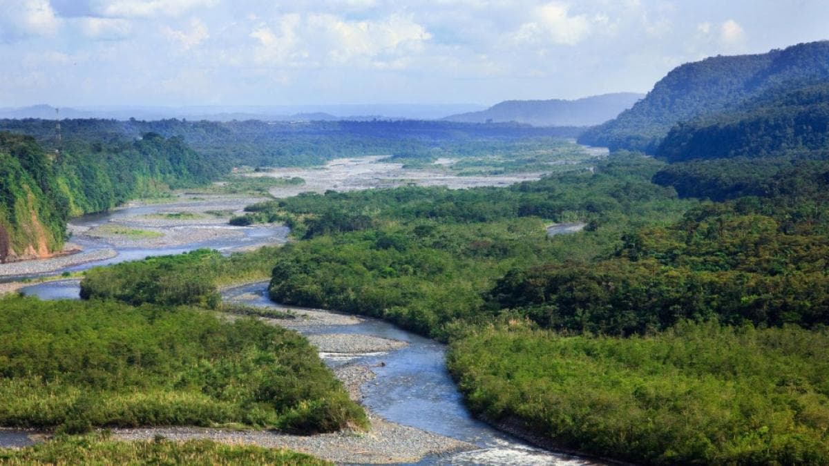 Una candidata presidencial propone vender servicios ambientales de la Amazonía para financiar programas sociales
