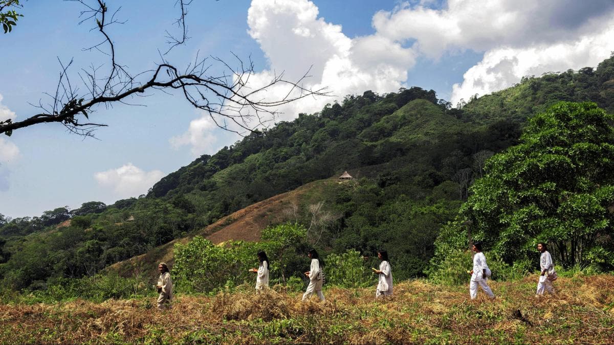 ¿Qué es la reserva temporal que protege la Sierra Nevada? Claves de esta nueva herramienta ambiental