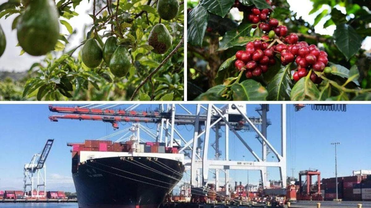 Empresarios piden frenar la guerra arancelaria entre Colombia y Ecuador antes de que se desmorone el comercio