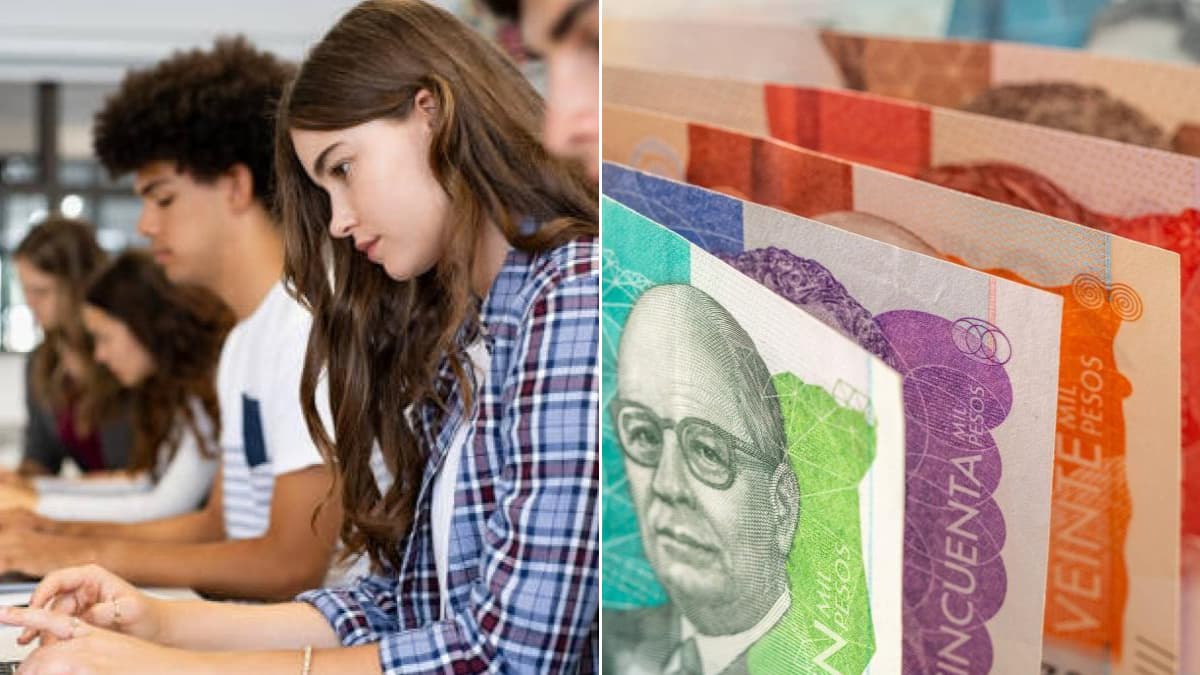 TIC y Ciencias Naturales: las carreras que pagan mejor a recién graduados en Colombia