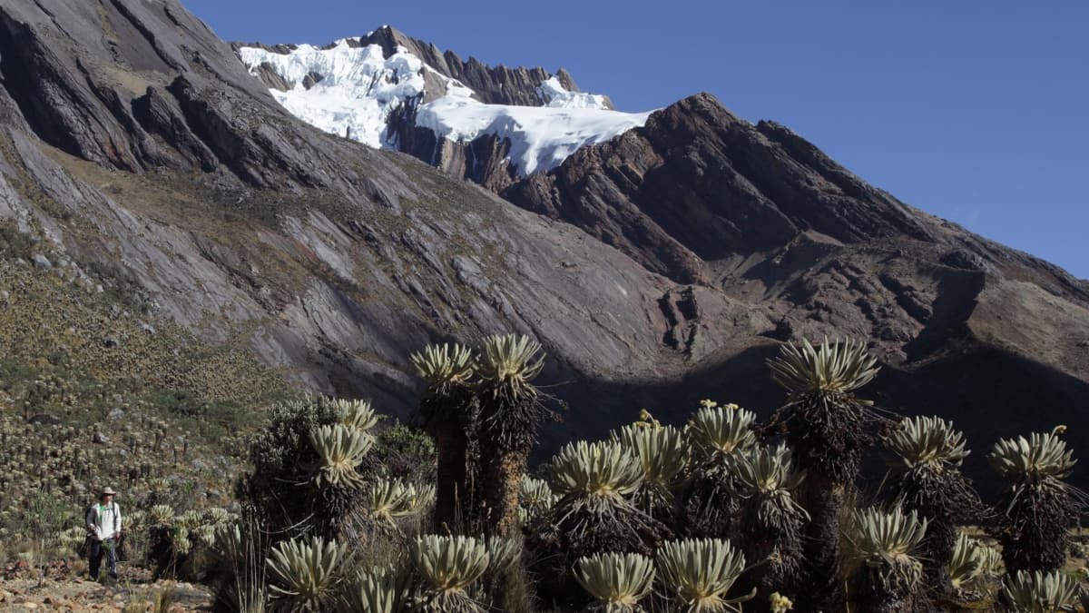 Glaciar Cerros de la Plaza desapareció: satélites europeos documentan el colapso en El Cocuy
