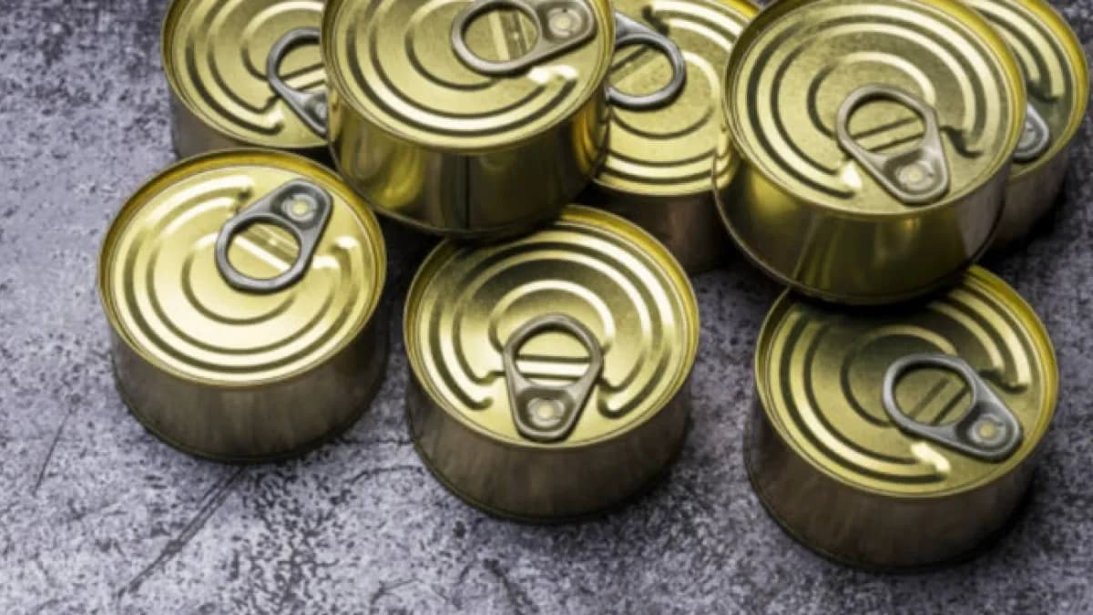 Las latas de atún que botas pueden convertirse en macetas, organizadores y más