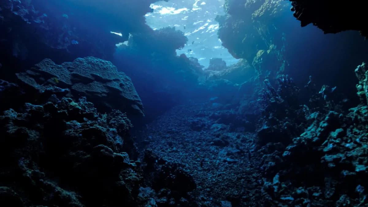Colombia explorará por primera vez las profundidades del Caribe en expedición científica internacional