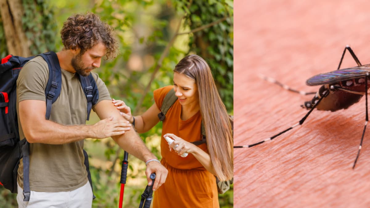 Estados Unidos alerta sobre dengue y otras enfermedades en Colombia por incremento de casos