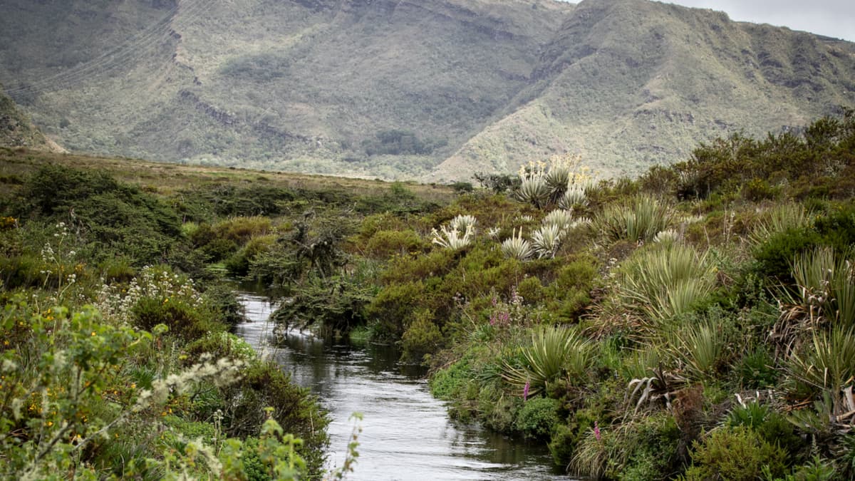 El ciclo del agua mundial está en crisis: gobiernos e instituciones deben actuar ya