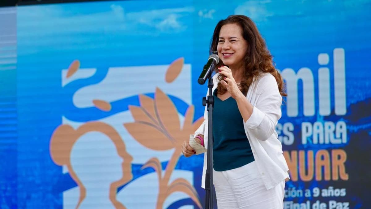 De 800 a 19.000 hectáreas: el salto que busca anclar a los excombatientes en la paz