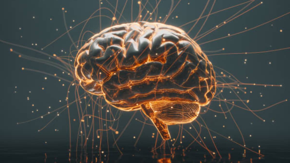 El entorno donde vives determina qué tan rápido envejece tu cerebro