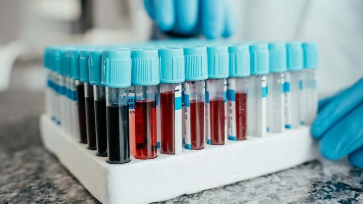 Un estudio genético revela que el factor RH negativo llegó a América con la conquista europea