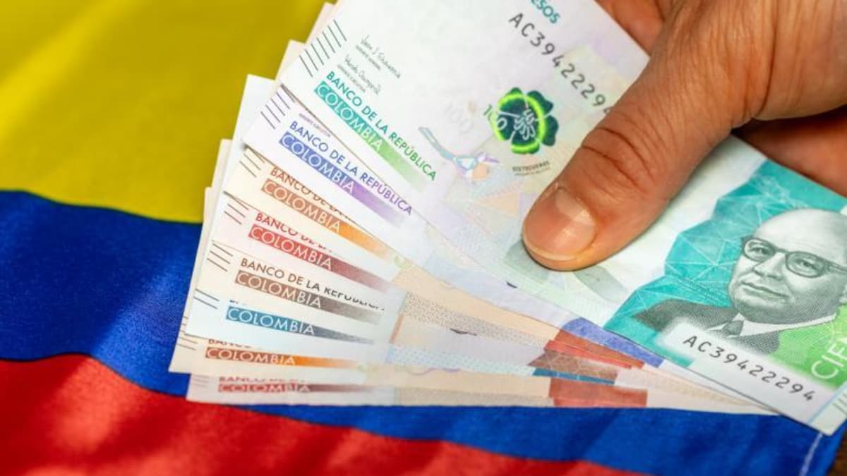 Salario mínimo al 23%: primeros números muestran destrucción de empleo en comercio y servicios