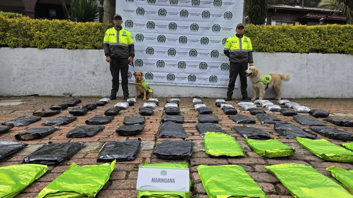 Policía incauta 67 kilos de marihuana que viajaban por encomienda hacia Bogotá