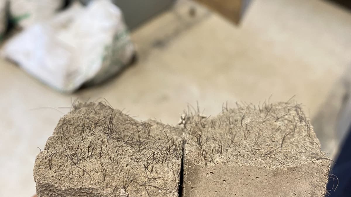 Científicos de Medellín usan cabello humano para hacer casas más seguras en terremotos