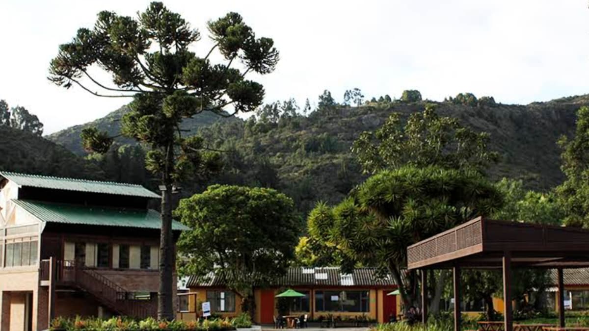 Colegio con 60 años en Cota entra en reorganización por deudas de casi 30 mil millones