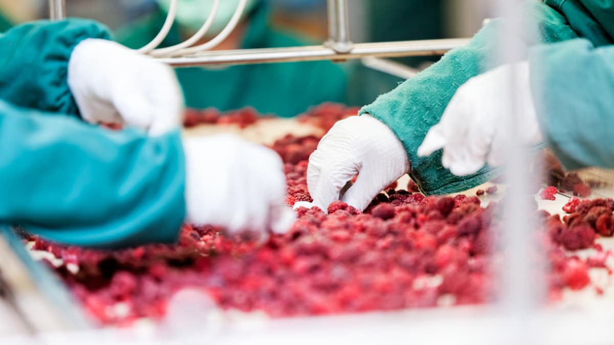 Empleo temporal movió 20 billones en 2025 y promete ser clave para la reactivación en 2026