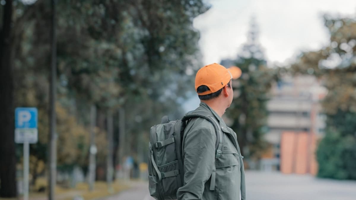 Los colores de la calma: por qué el verde y azul conquistan el mercado global de moda