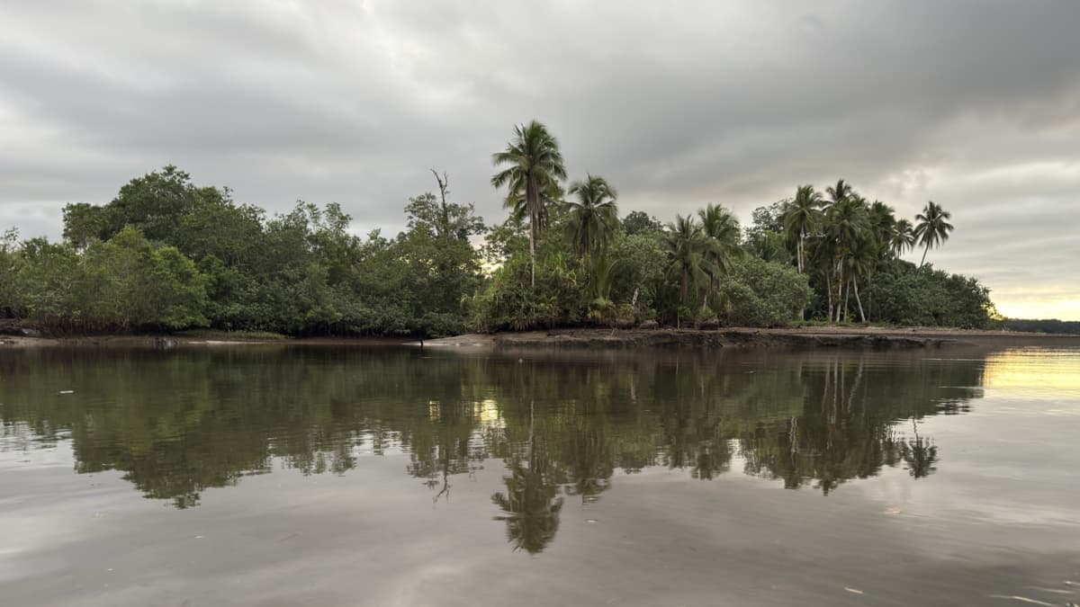 Coquí, el pueblo del Pacífico que reinventa el turismo desde la cocina ancestral