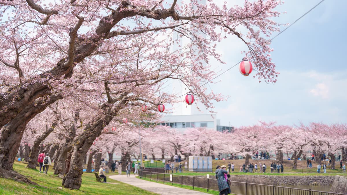Hokkaido: la isla japonesa que ofrece naturaleza pura en cualquier época del año