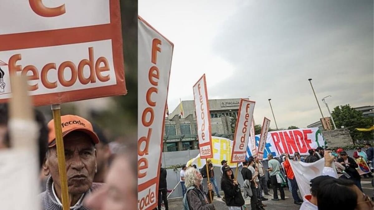 Docentes convocan paro nacional el 15 de abril: exigen garantías en salud y prestaciones