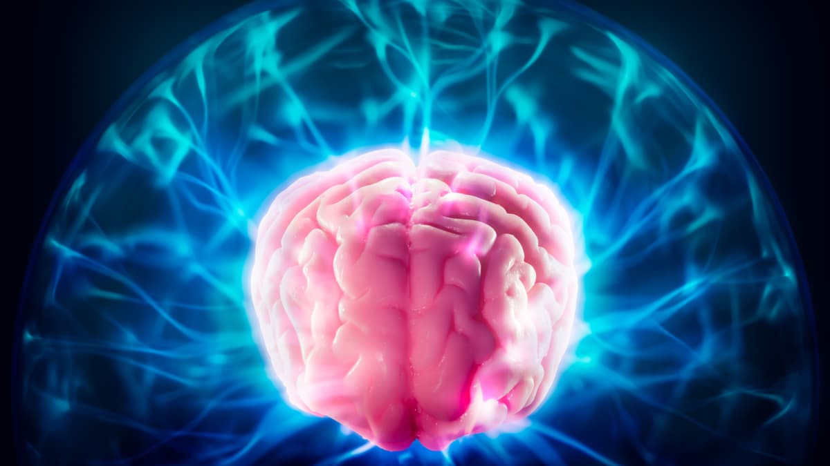 La meditación intensiva reconfigura el cerebro en menos tiempo del que creíamos