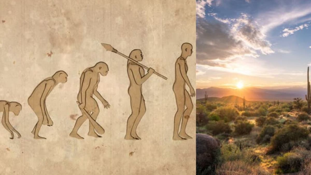 Descubren evidencias de violencia, enfermedad y rituales funerarios en humanos de hace 92.000 años