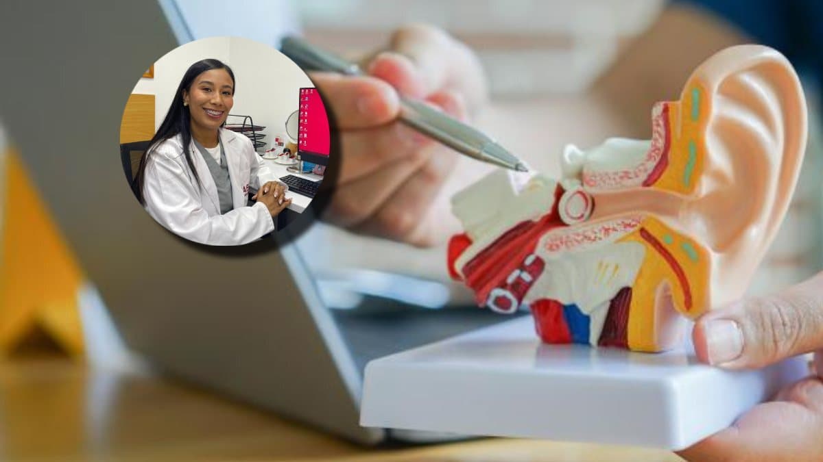 Conductores, docentes y trabajadores de call center: las profesiones en riesgo de perder audición