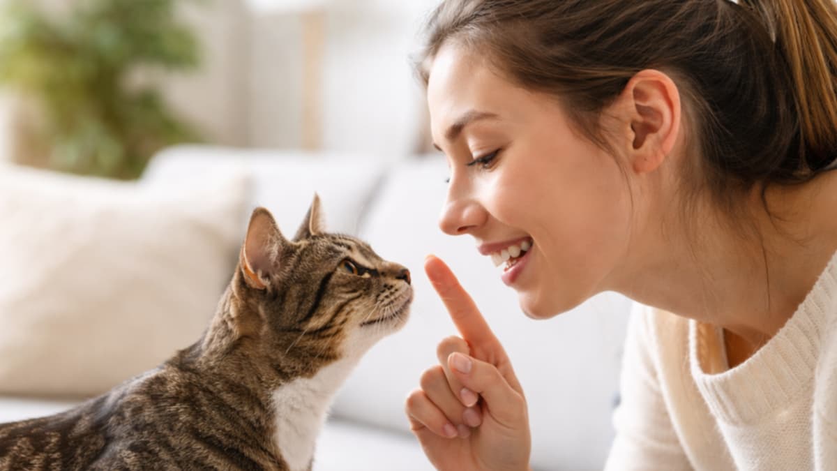 Hablarles como a bebés a los gatos sí funciona: la ciencia lo confirma