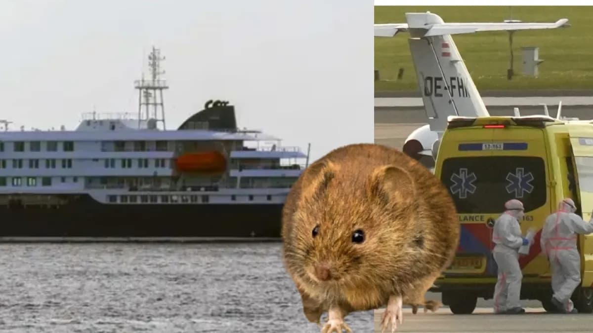 OMS aclara que el hantavirus no es como el coronavirus y descarta propagación mundial por ahora