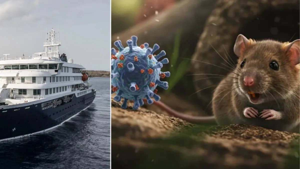 OMS descarta pandemia por hantavirus, pero mantiene vigilancia tras brote en crucero
