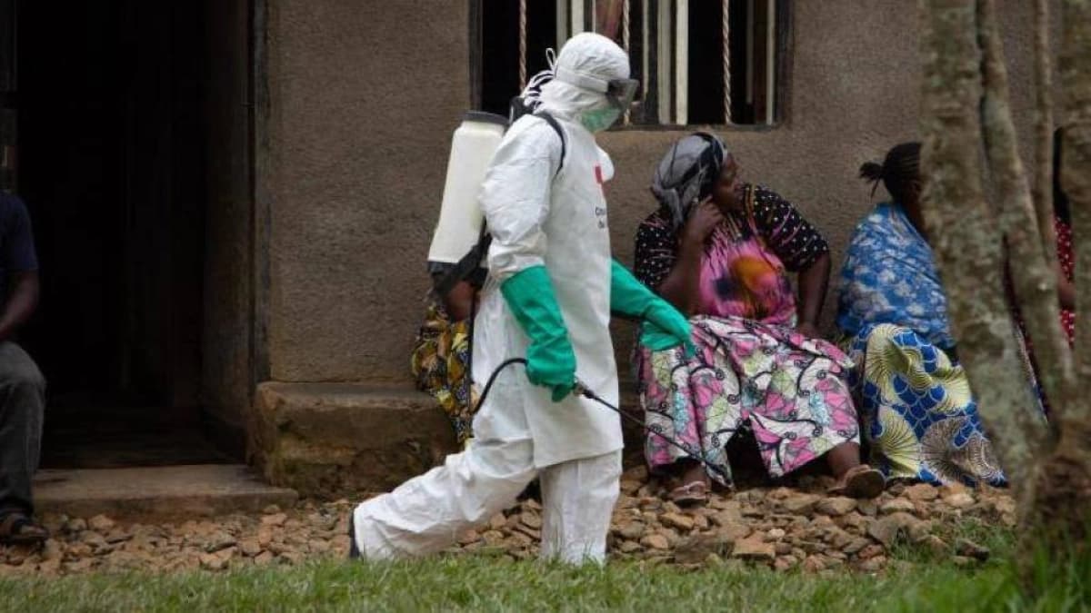 Qué hace el ébola en el cuerpo: la OMS alerta por brote en Congo con variante poco común