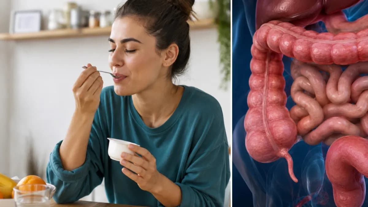 El yogur podría reducir el riesgo de cáncer de colon, según estudio de Harvard