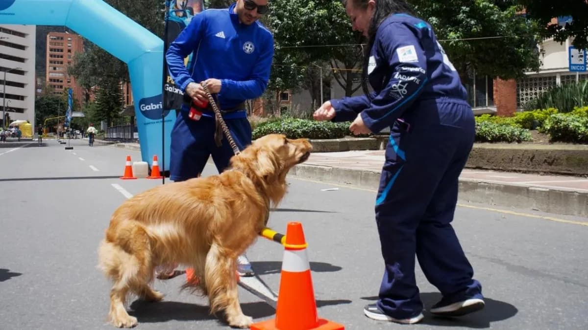 Bogotá instalará estaciones de bienestar para mascotas en la Ciclovía hasta fin de año