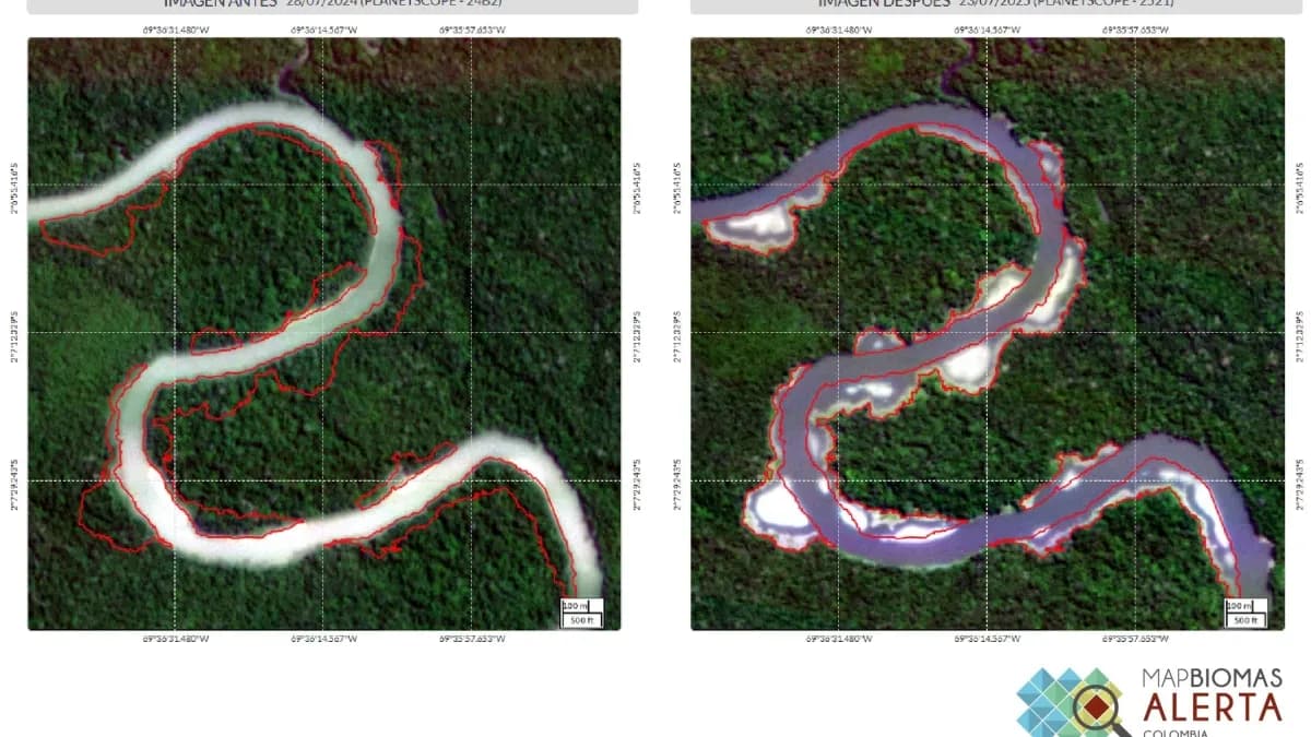 Oro ilegal arrasa casi 200 hectáreas de selva amazónica en el río Puré