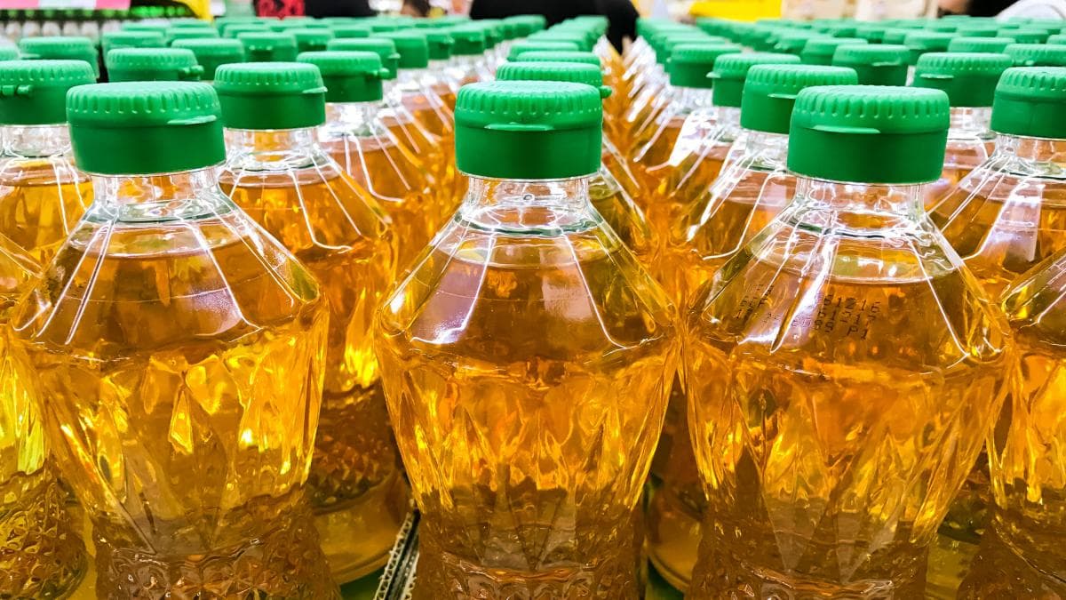 Palma, soya y coco: los cultivos que aceleran la extinción de especies en el mundo