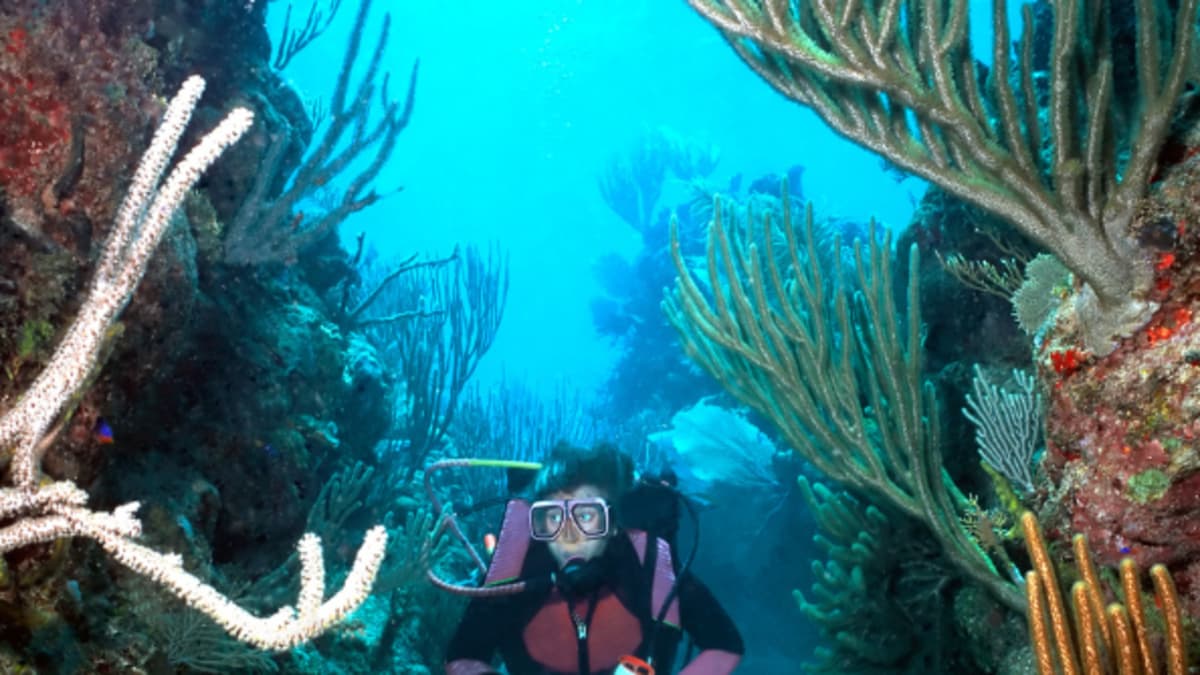 El océano pasa de ser ignorado a ser central en la lucha contra el cambio climático