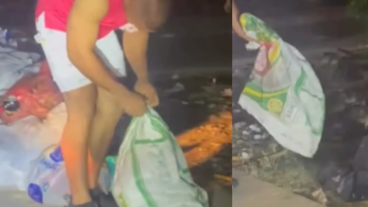 Barranquilla conmocionada por perrito abandonado en basura: rescatistas piden ayuda especializada
