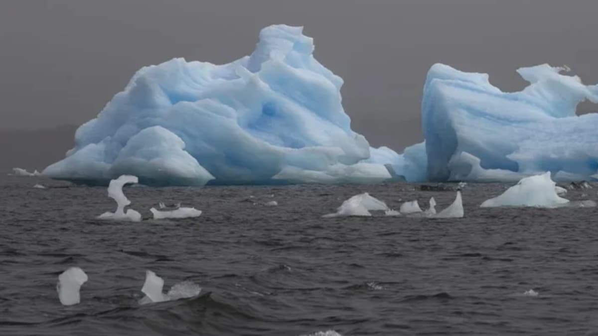 Antártida pierde más de 12.800 km² de hielo en tres décadas: "El retroceso es impresionante"