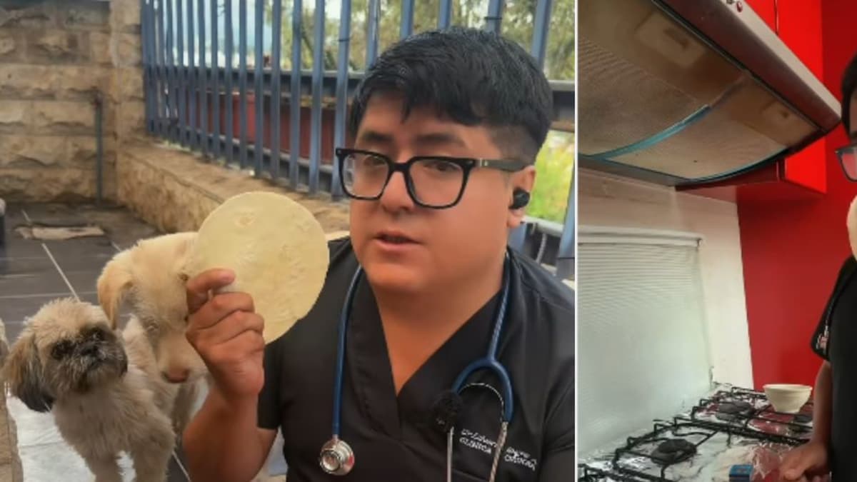 Veterinario comparte cómo hacer carbón activado casero para intoxicaciones en mascotas