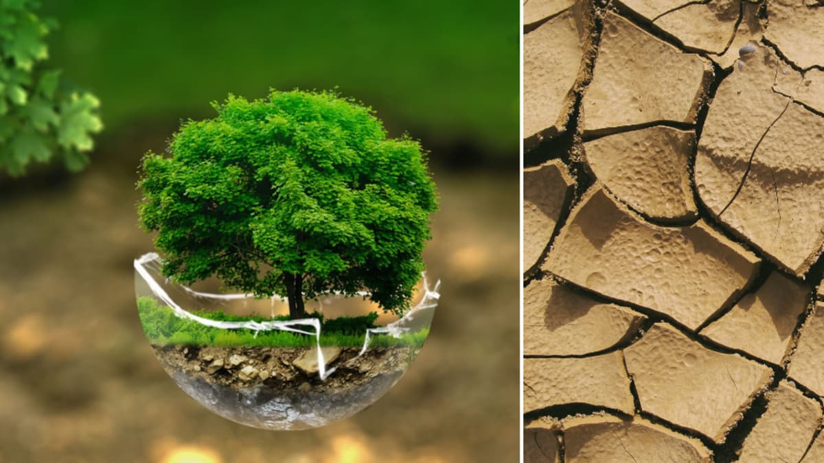 Medir la reducción de CO₂ es más complicado de lo que parece: los retos técnicos del clima