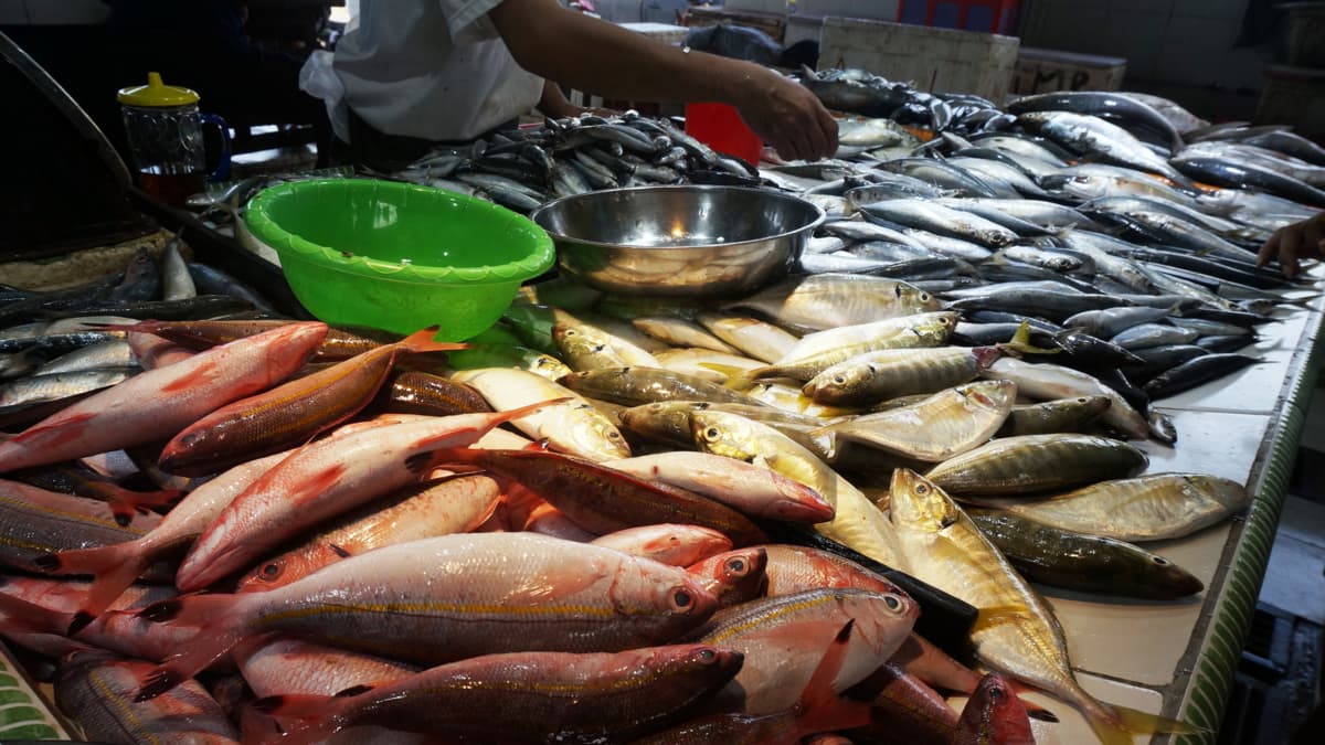 Aranceles con Ecuador amenazan el abastecimiento de pescado en Semana Santa