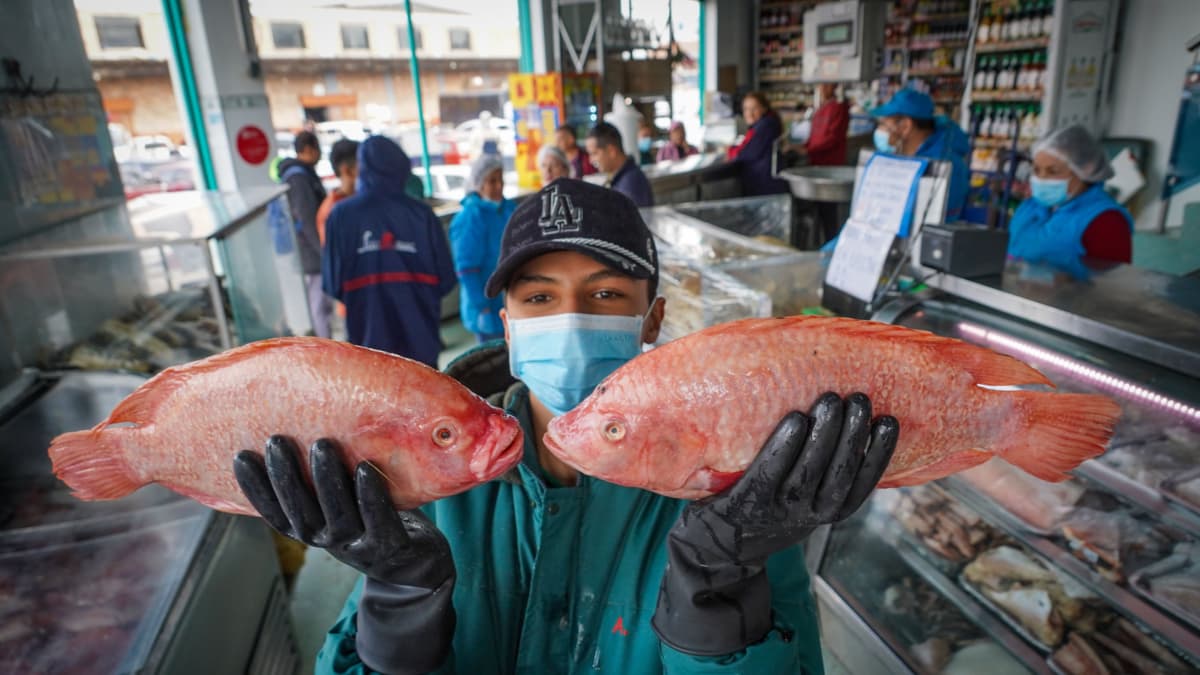 Pescados que protegen el corazón: guía para comer sano en Semana Santa