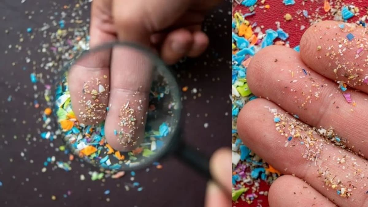 Estudio alerta: inhalas 68.000 partículas de plástico diarios en casa y carro