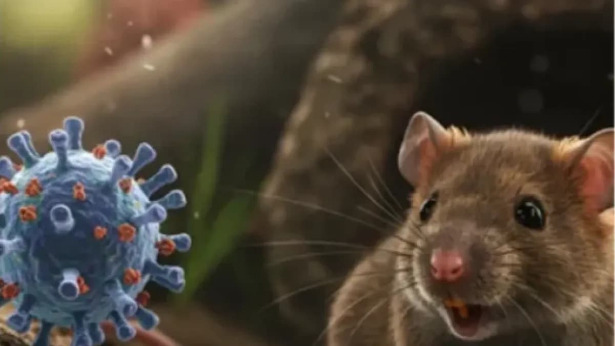 Enfermedades que saltan de animales a humanos: una amenaza milenaria que persiste