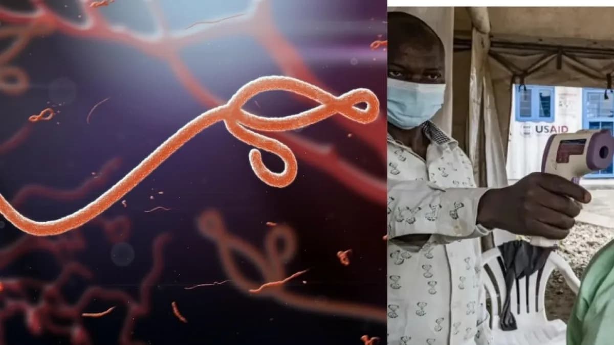 OMS declara emergencia internacional por brote de ébola en África central sin vacuna disponible