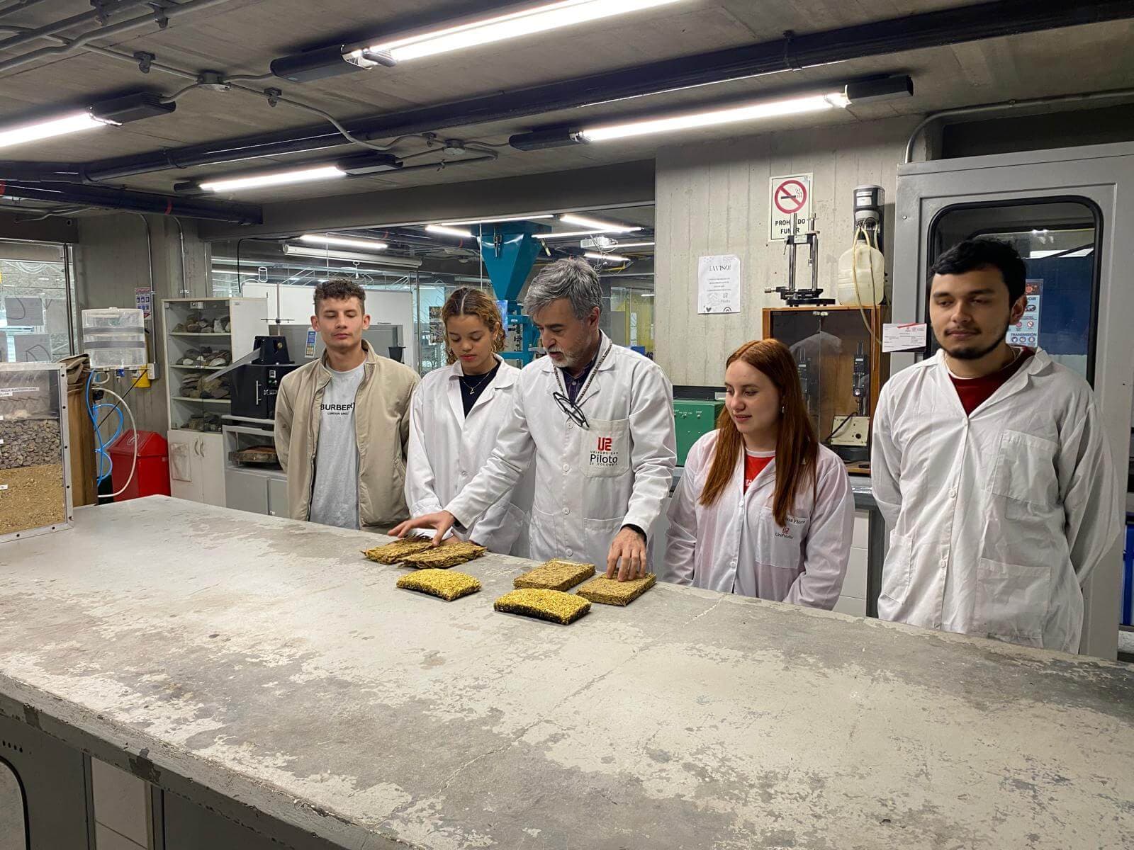 Gualam: la guadua se convierte en material de construcción para descarbonizar Colombia