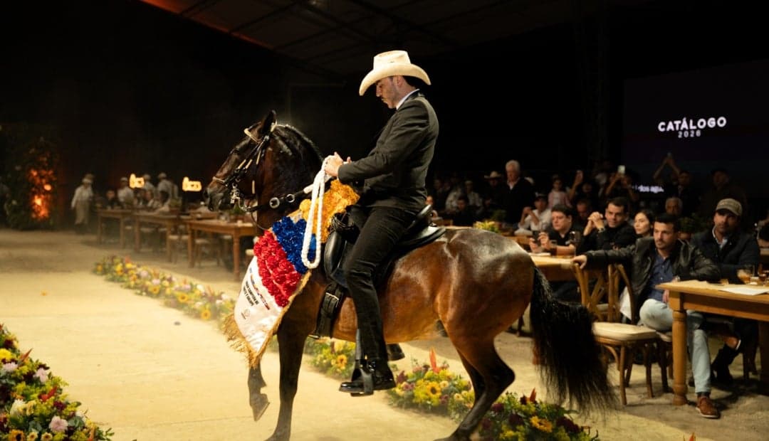 Dos Aguas consolida su subasta como evento clave del sector equino con 400 asistentes presenciales