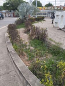 Glorieta de Fonseca se seca: vecinos piden rescate urgente de este sitio cultural