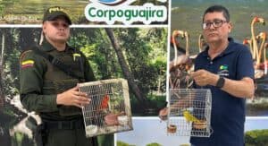 La Policía de La Guajira rescata 43 aves silvestres en operativos contra el tráfico ilegal
