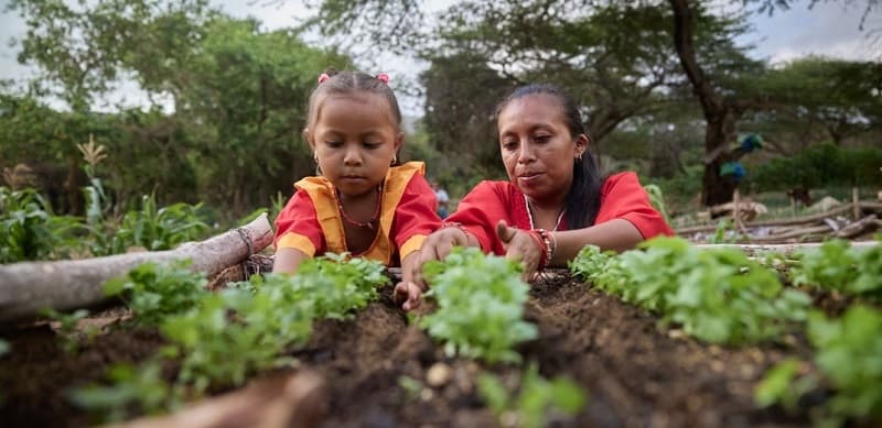 La Guajira se perfila como territorio clave para la bioeconomía sostenible en Colombia