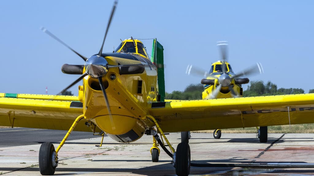 Portugal lucha contra un incendio devastador: más de mil bomberos en alerta máxima por ola de calor